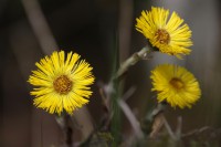 /album/kuvagalleria/img-2020-jpg/