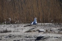 /album/lokit/img-3301-jpg/